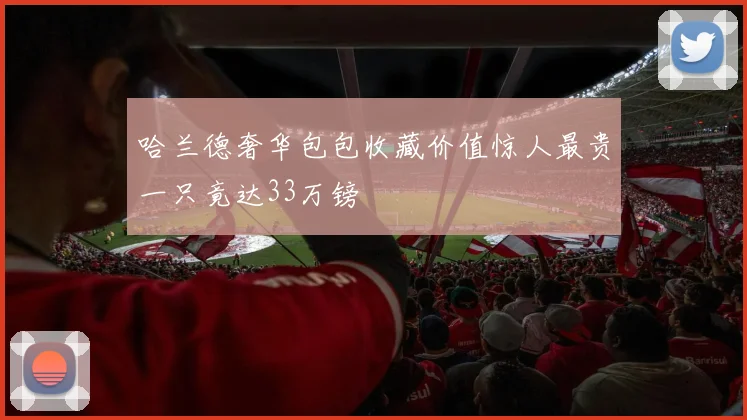 哈兰德奢华包包收藏价值惊人最贵一只竟达33万镑