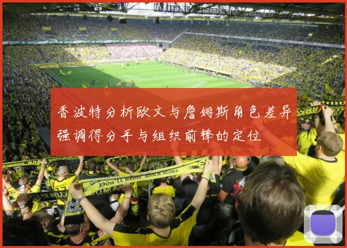 香波特分析欧文与詹姆斯角色差异强调得分手与组织前锋的定位