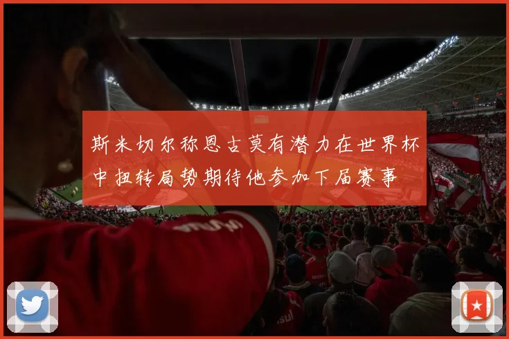 斯米切尔称恩古莫有潜力在世界杯中扭转局势期待他参加下届赛事