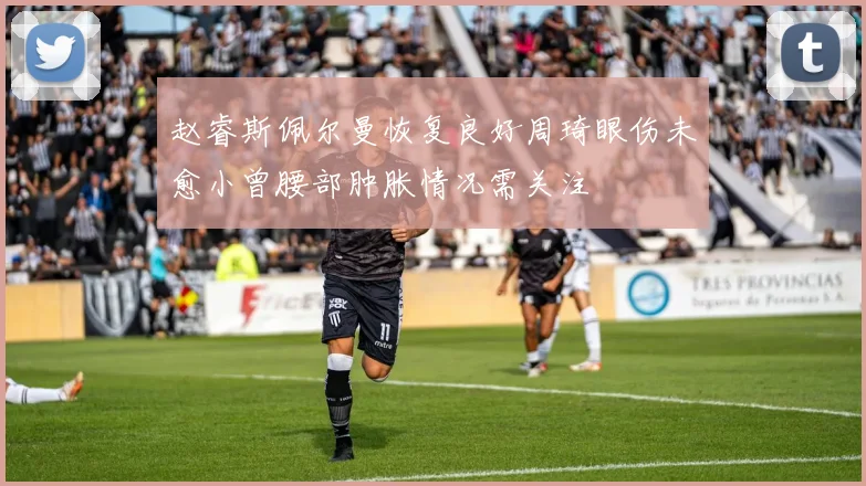 赵睿斯佩尔曼恢复良好周琦眼伤未愈小曾腰部肿胀情况需关注